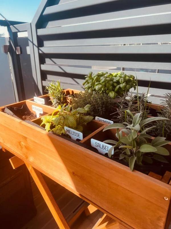 Etiketten für Blumentopf - Colection   