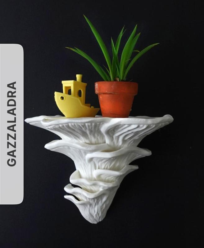 Wall shelf “Djamor Fungus” by gazzaladra