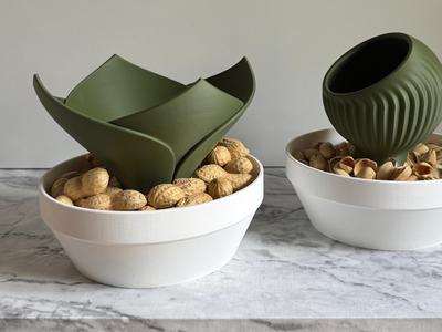 Cacti bowl, snack bowl with container.