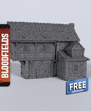 Large Building - With Free Dragon  - 5e DnD Inspired for RPG and Wargamers