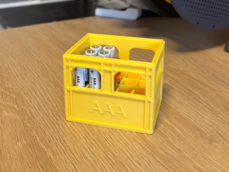 Organizer for AAA batteries