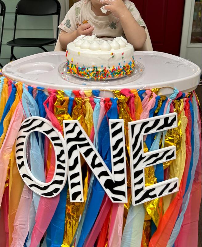 Wild ONE ~ Birthday Party Decor