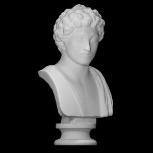 Marcus Aurelius as a youth