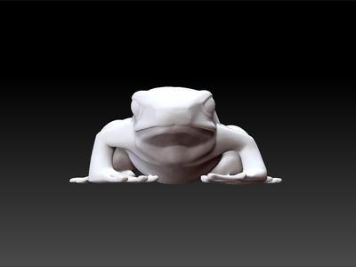 Frog - realistic frog - frog toy for kids