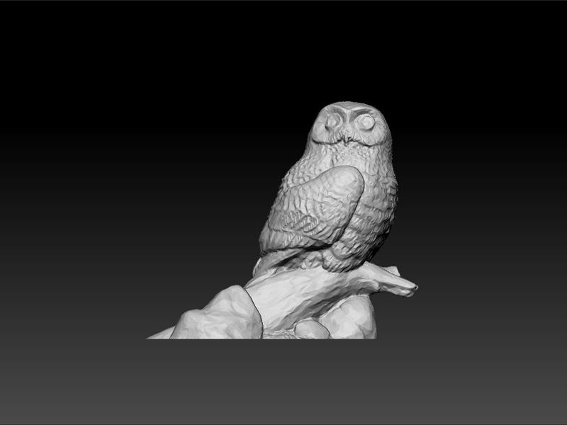 Owl decorative