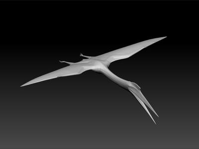 quetzalcoatlus