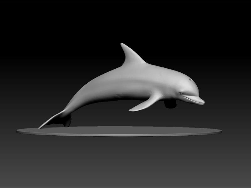 Dolphin
