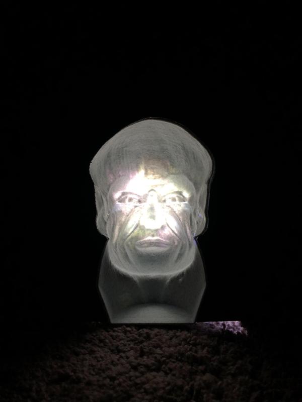 Following Head Bust