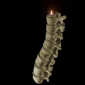 Verterbral Column For Candle