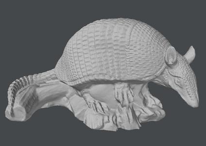 Armadillo
