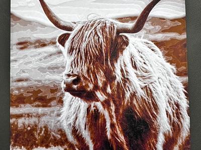 Highland Cow #4