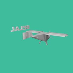 Egyptian light aircraft