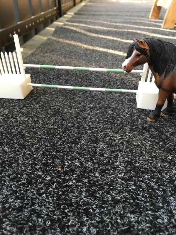 Horse Jumping Obstacle