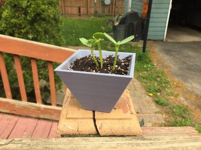 Simple Planter