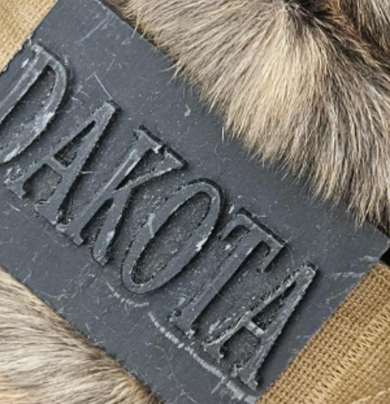 Dog Name Tags Kong Collars