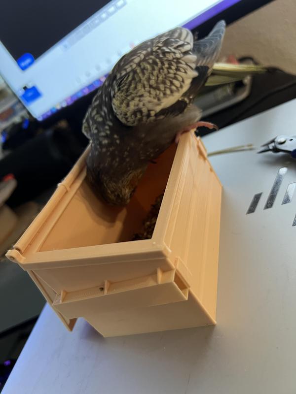 Dumpster Bird Feeder