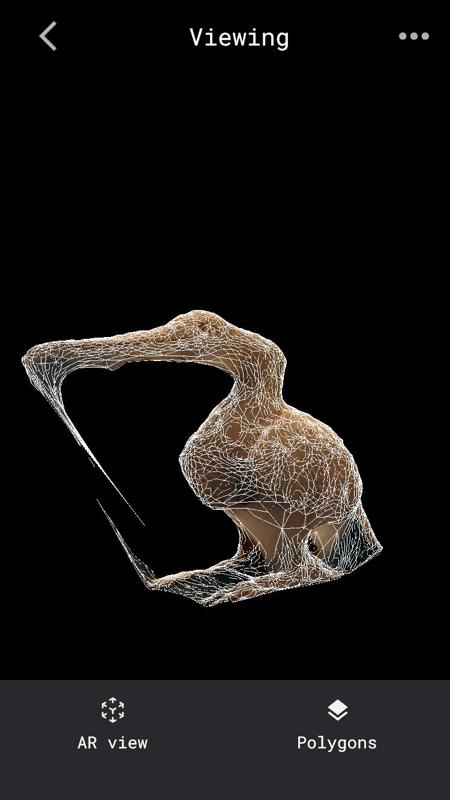 Water Bird 3D Scan