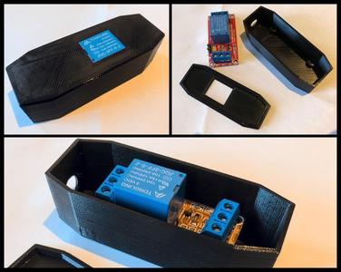 Single Relay Case/Mount