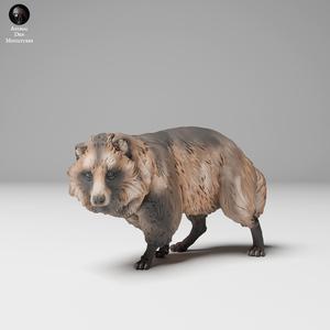 Tanuki (Raccoon Dog)