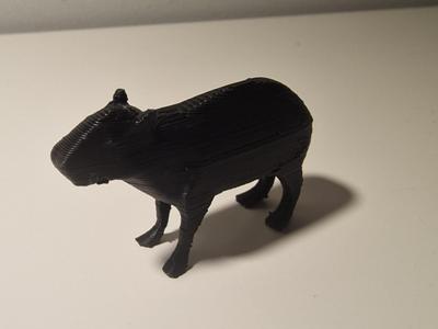 Small Capybara 