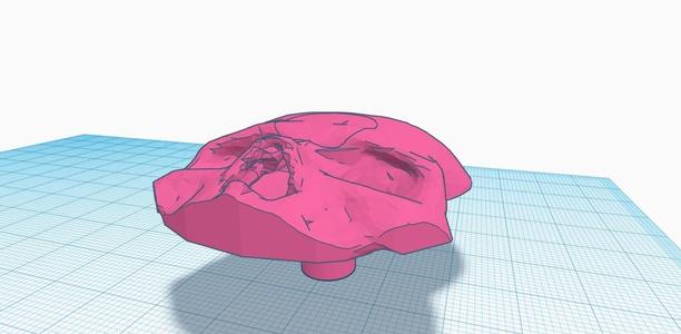 Skull Spinner for Stepper Motor