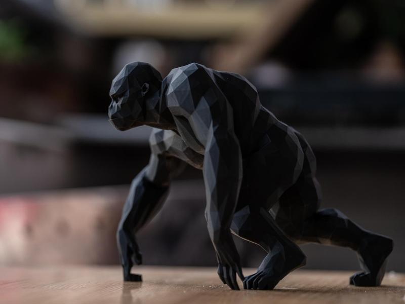 Rampaging Black and White King Kong