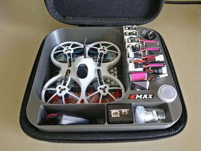Emax Tinyhawk case insert