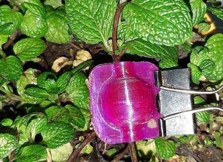 SMALL AIR LAYERING METHOD TOOLS PROPAGATION