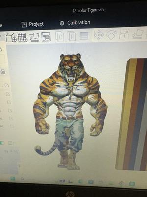 Tiger-man
