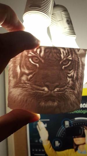 tiger lithophane