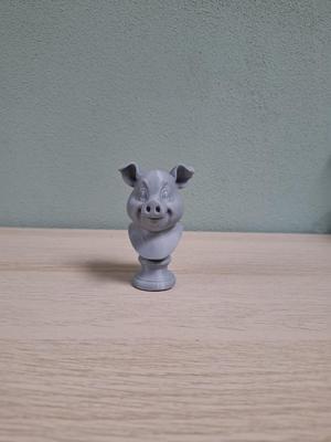 Porcine Pal