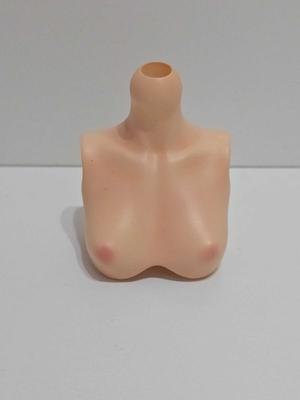 BJD Bust/Chest B Cup
