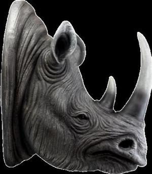 Wall Rhinoceros