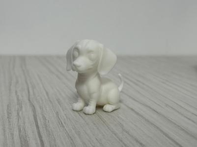 Dog Teckel