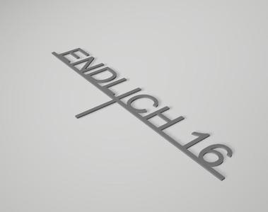 Schild Endlich 16