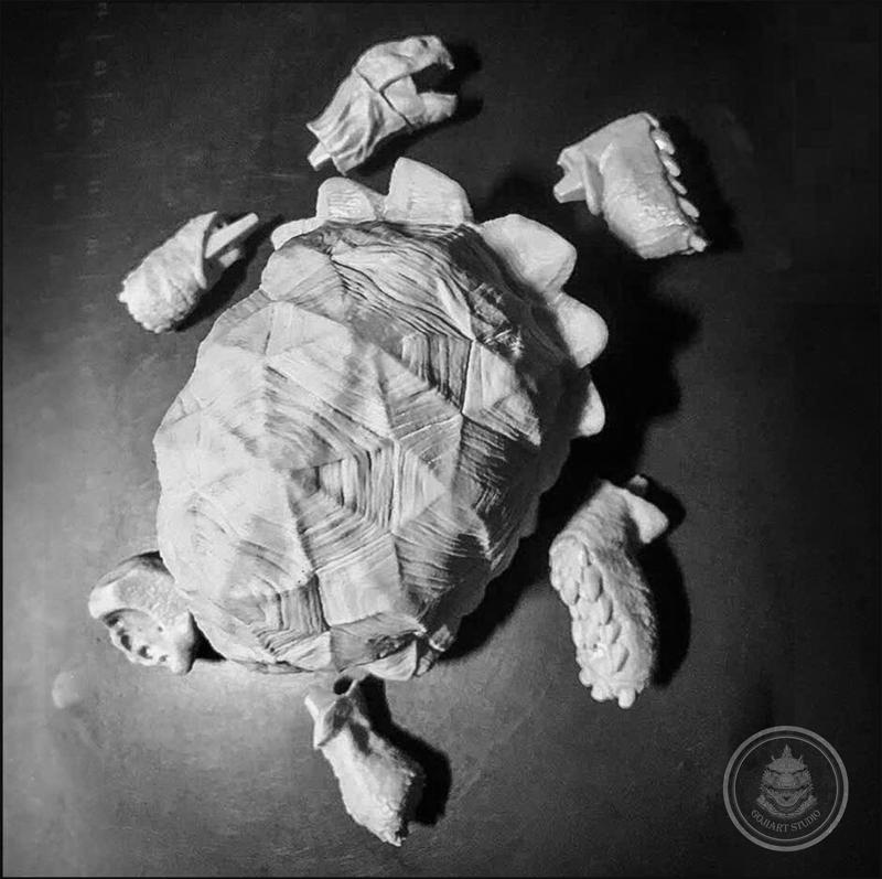 AGGRESSIVE TORTOISE FOR CHRISTMAS - A REPTILE