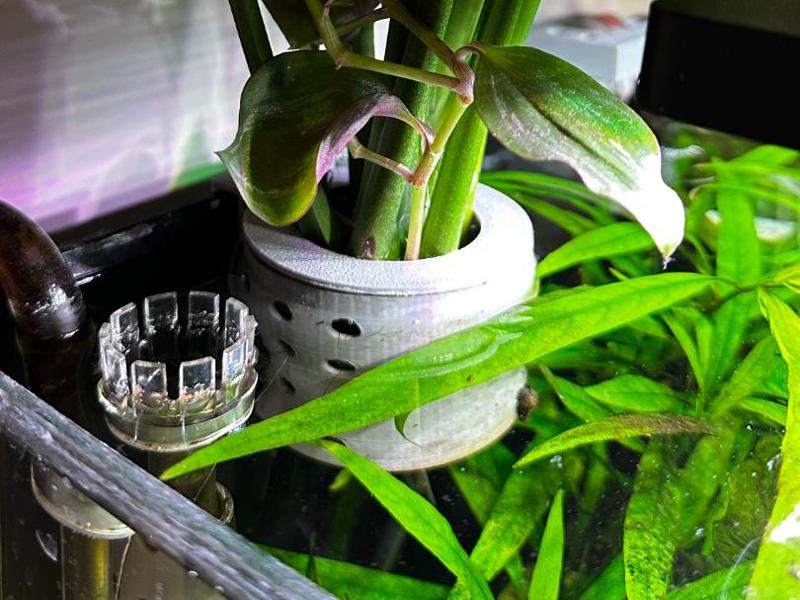 Aquarium plant holder