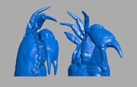 3d scan crab fish