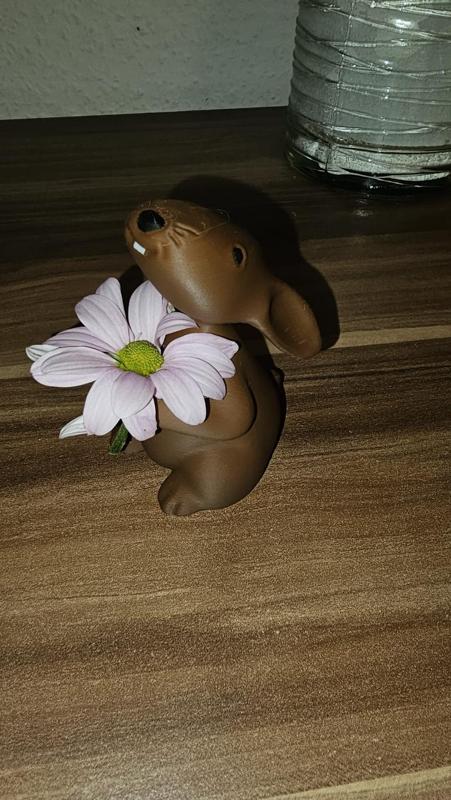 Easter Rabbit , Osterhase