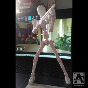 ACTION FIGURE FRAME VER.01