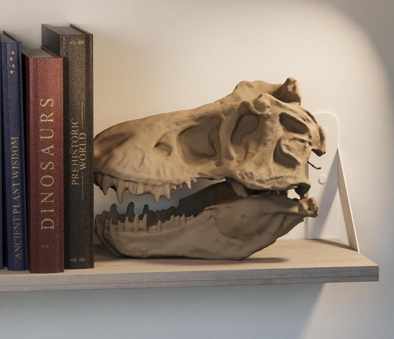 Tyrannosaurus (T-rex) skull 3D Print - dinosaur