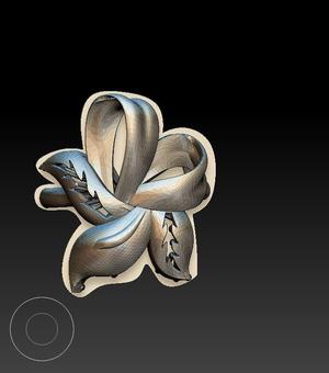 ring 3d