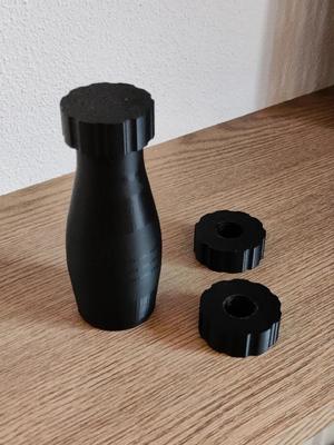 Painting handle with removable screw top   
