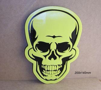 Skull bones skull head