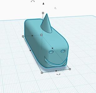 shark in one minute   