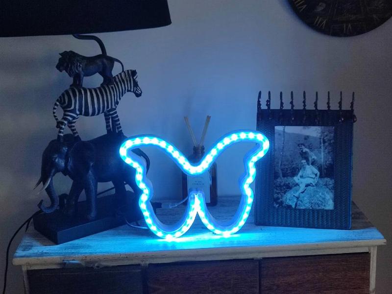 Butterfly neon   