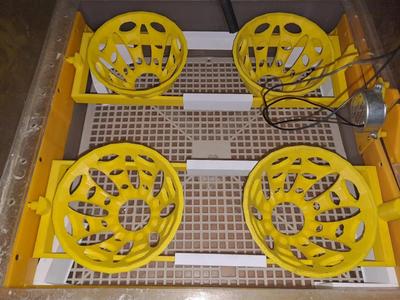 Držák emu vajíček do líhně   