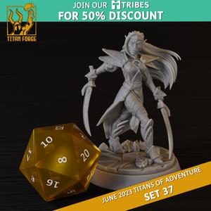 Elf Female Fighter  - RPG Hero Character D&D 5e - Titans of Adventure Set 37