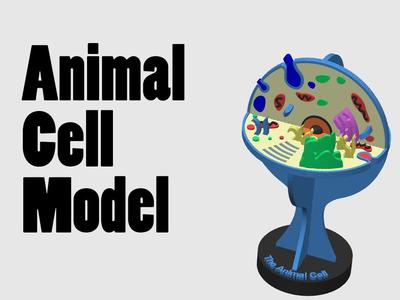 The Animal Cell