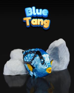 Blue Tang